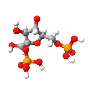 Fructose-2,6-diphosphate