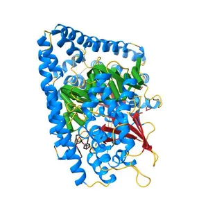 Crystal structural analysis of HindIII restriction endonuclease in complex with cognate DNA at 2.0 angstrom resolution