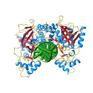 Crystal Structure of NotI Restriction Endonuclease Bound to Cognate DNA