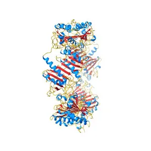 Crystal structure of alkyl hydroperoxide-reductase (AhpC) from Helicobacter Pylori