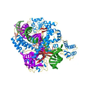Crystal structure of Cas12i2 ternary complex with double Mg2+ bound in catalytic pocket