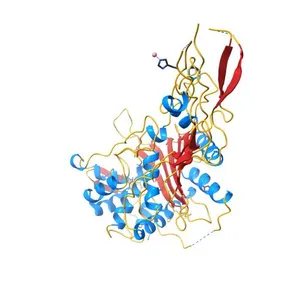 Crystal structure of Penicillin binding protein 3 (PBP3) from Mycobacterium tuerculosis, complexed with amoxicillin