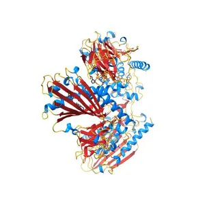 Crystal Structure of Dicamba Monooxygenase with Non-heme Iron and Dicamba