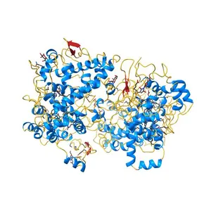 CYCLOOXYGENASE-2 (PROSTAGLANDIN SYNTHASE-2) COMPLEXED WITH A SELECTIVE INHIBITOR, SC-558