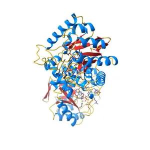 Crystal Structure of the Yersinia pestis Dihydropteroate Synthase with Sulfonamide Drug Complex.