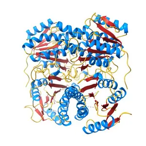 Crystal structure of MabA-C60V/G139A/S144L