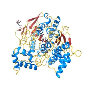 ACETYLCHOLINESTERASE (E.C. 3.1.1.7) COMPLEXED WITH RIVASTIGMINE