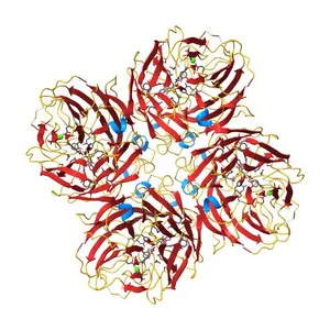 N1 Neuraminidase H274Y + Zanamivir