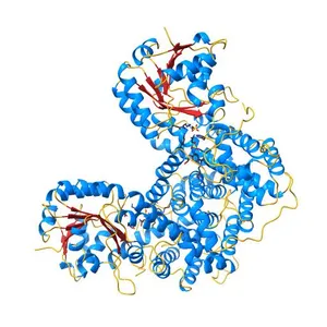 X-RAY STRUCTURE OF 6-PHOSPHOGLUCONATE DEHYDROGENASE FROM THE PROTOZOAN PARASITE T. BRUCEI
