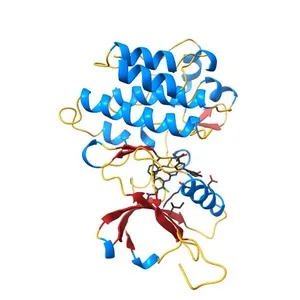 The crystal structure of human abl1 kinase domain in complex with DP-987