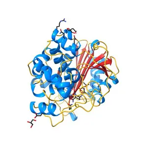 Structure of avibactam bound to Pseudomonas aeruginosa AmpC
