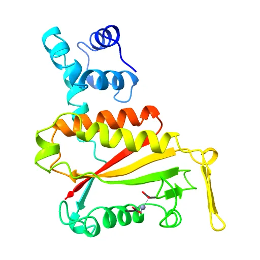 CdiA-CT/CdiI toxin and immunity complex from Escherichia coli — Фото 2 из 13
