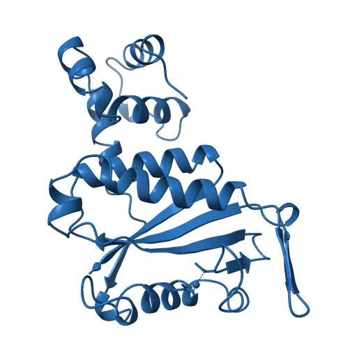 CdiA-CT/CdiI toxin and immunity complex from Escherichia coli — Фото 5 из 13