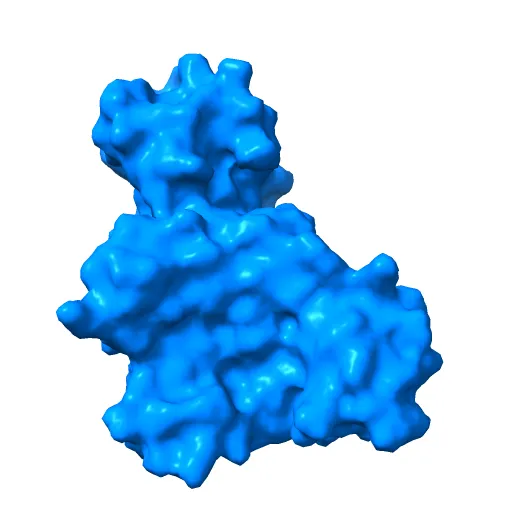 CdiA-CT/CdiI toxin and immunity complex from Escherichia coli — Фото 6 из 13