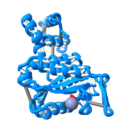 CdiA-CT/CdiI toxin and immunity complex from Escherichia coli — Фото 7 из 13