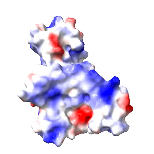 CdiA-CT/CdiI toxin and immunity complex from Escherichia coli — Фото 9 из 13