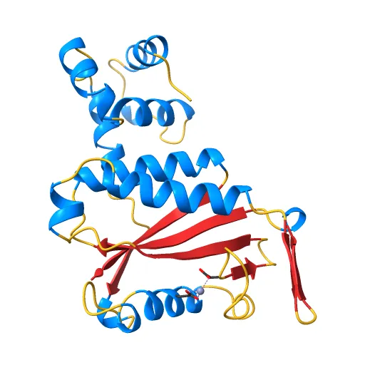 CdiA-CT/CdiI toxin and immunity complex from Escherichia coli — Фото 10 из 13
