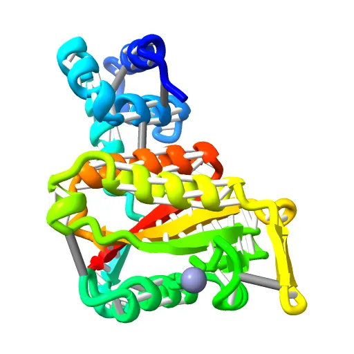 CdiA-CT/CdiI toxin and immunity complex from Escherichia coli — Фото 12 из 13