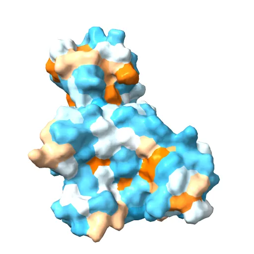 CdiA-CT/CdiI toxin and immunity complex from Escherichia coli — Фото 13 из 13