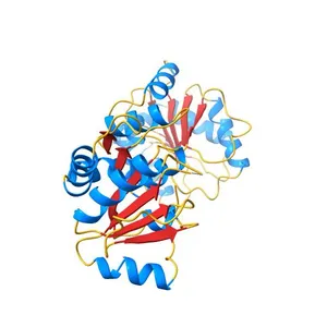 Crystal Structure of the UDP-Glucuronic Acid Binding Domain of the Human Drug Metabolizing UDP-Glucuronosyltransferase 2B7