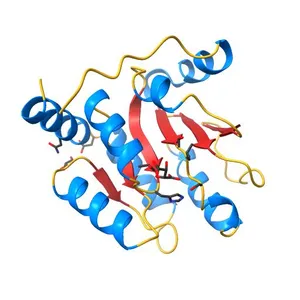 Crystal Structure of the Cofactor-binding Domain of the Human Phase II Drug Metabolism Enzyme UGT2B15