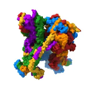 Human Mediator with RNA Polymerase II Pre-initiation complex