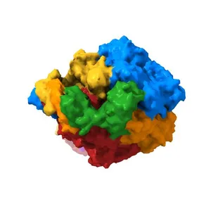 bovine ATP synthase monomer state 2 (combined)