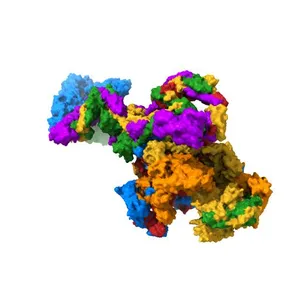 Structure of the human Mediator-bound transcription pre-initiation complex
