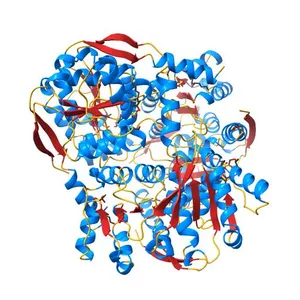 Crystal structure of Methylglyoxal synthase (TM1185) from Thermotoga maritima at 2.06 A resolution