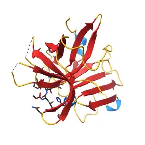 1.65A resolution structure of Norwalk Virus Protease Containing a covalently bound dipeptidyl inhibitor