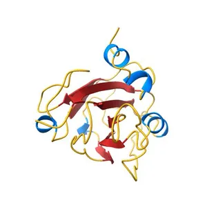 Terminal flower 1 (tfl1) from arabidopsis thaliana