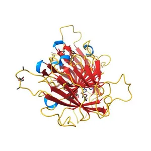 Crystal structure of mouse Ryanodine Receptor 2 SPRY1 Domain (650-844) disease mutant I784F