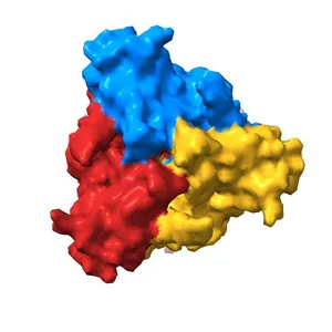 Cryo electron microscopy structure of the ATP-gated rat P2X7 ion channel in the apo, closed state