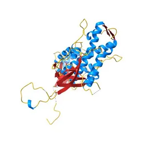 Structure of BC2332: A Protein of Unknown Function from Bacillus cereus