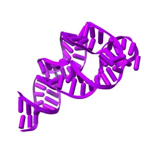 Ligand-bound structure of adenine riboswitch aptamer domain converted in crystal from its ligand-free state using ligand mixing serial femtosecond crystallography
