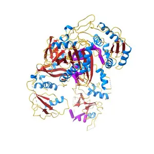 Human Argonaute3 bound to guide RNA