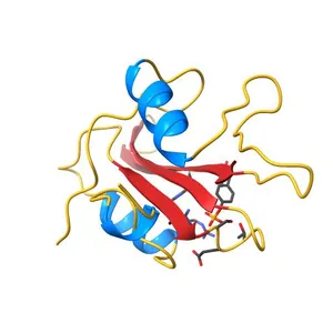 Triple mutant Src SH2 domain bound to phosphotyrosine