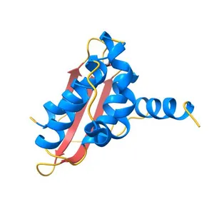 Crystal structure of a hypothetical protein at 2.3 A resolution
