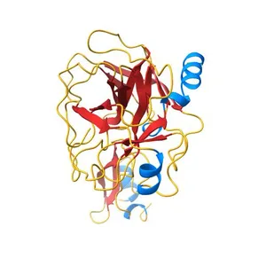RELOCATING A NEGATIVE CHARGE IN THE BINDING POCKET OF TRYPSIN