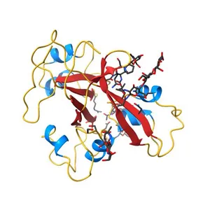 Crystal structure of the ectodomain of a receptor like kinase