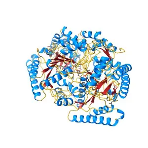 Crystal Structure of GABA Aminotransferase bound to (S)-3-Amino-4-(difluoromethylenyl)cyclopent-1-ene-1-carboxylic acid, an Potent Inactivatorfor the Treatment of Addiction