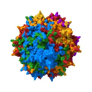 Atomic-Resolution Cryo-EM Structure of AAV2 VLP