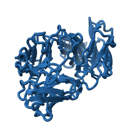 I3.1 (unbound) from CH103 Lineage — Image 2 of 13