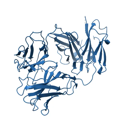 I3.1 (unbound) from CH103 Lineage — Image 6 of 13