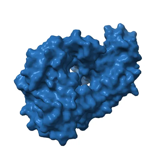 I3.1 (unbound) from CH103 Lineage — Image 7 of 13