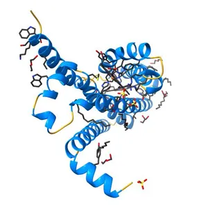 CRYSTAL STRUCTURE OF TRANS-MEMBRANE DOMAIN OF Cylindrospermum stagnale NADPH-OXIDASE 5 (NOX5)