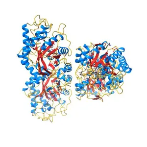 Structure of OYE from Geobacillus kaustophilus, hexagonal crystal form