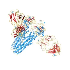 Nanodisc reconstituted human ABCB4 in complex with 4B1-Fab and QA2-Fab (apo-inward-open conformation)