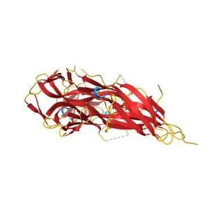 NGF IN COMPLEX WITH DOMAIN 5 OF THE TRKA RECEPTOR