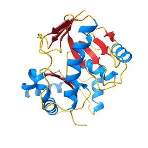 CdiA-CT/CdiI toxin and immunity complex from Burkholderia pseudomallei